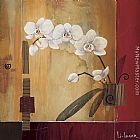 Orchid Lines II